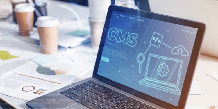Why Certified CMS Developers Deliver Better Website Performance